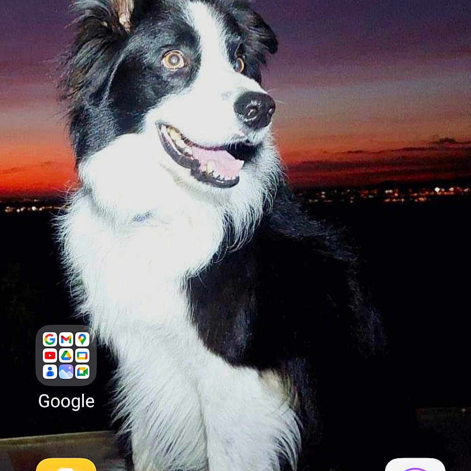 Simba