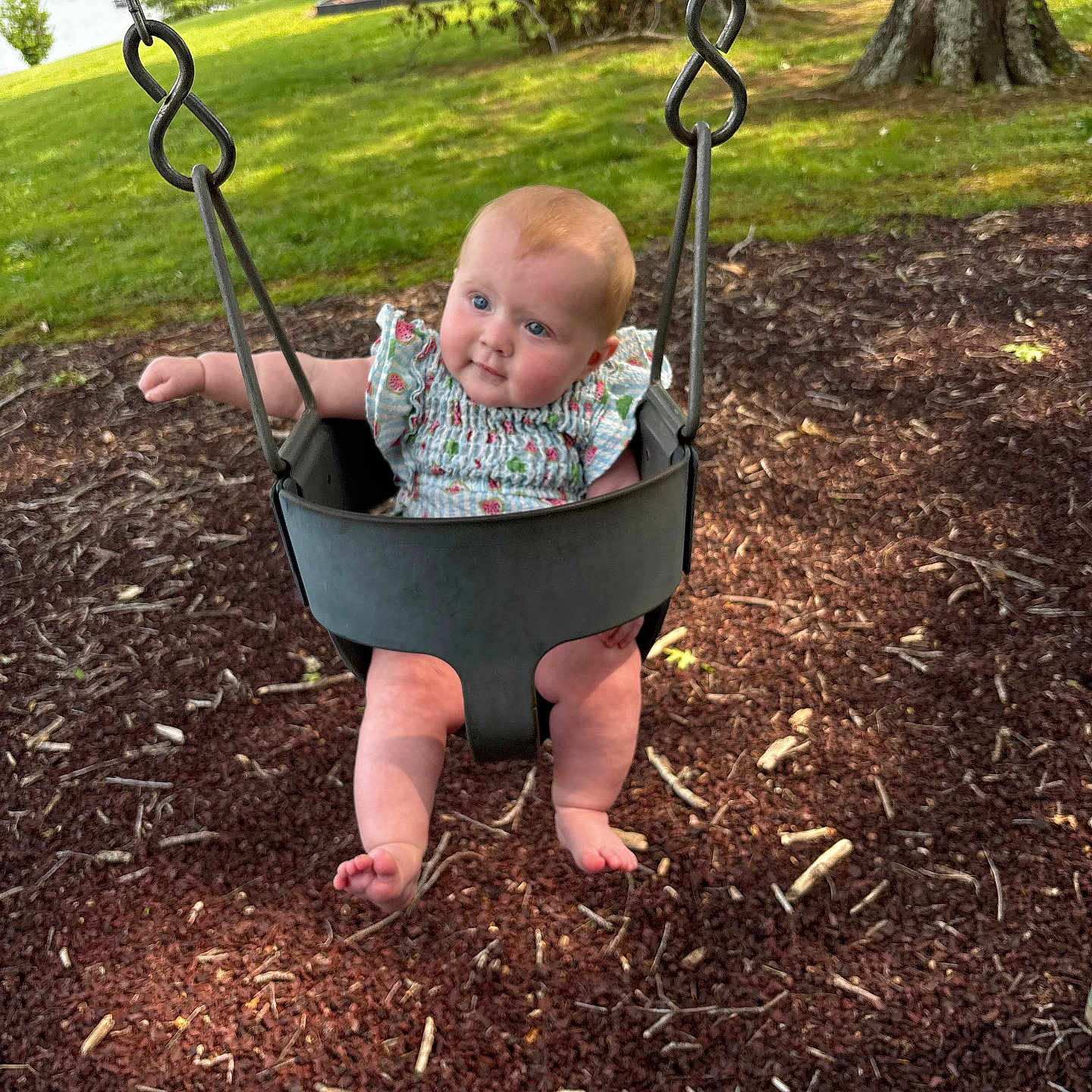 Addison is registered to the contest to win money with this photo: baby, babyclothes, child, cute, daylight, face, fun, grass, happy, infant, legs, nature, outdoor, park, play, playground, seat, summer, swing, trees