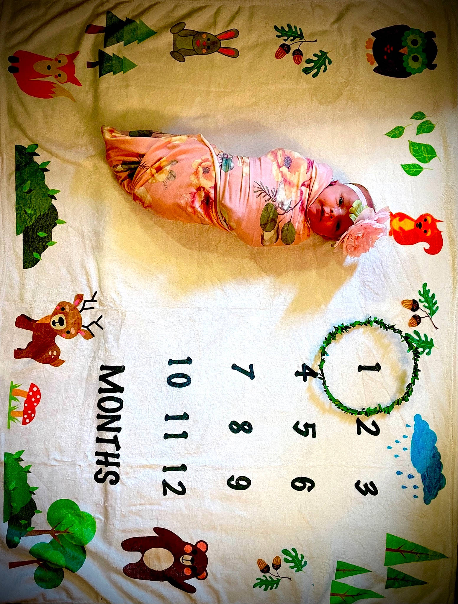 Kynlee joined the competition — help win amazing prizes! art, comfort_food, cuisine, dish, dishware, finger_food, font, graphics, headwear, ingredient, linens, orange, paint, painting, pattern, peach, person, recipe, side_dish, sweetness