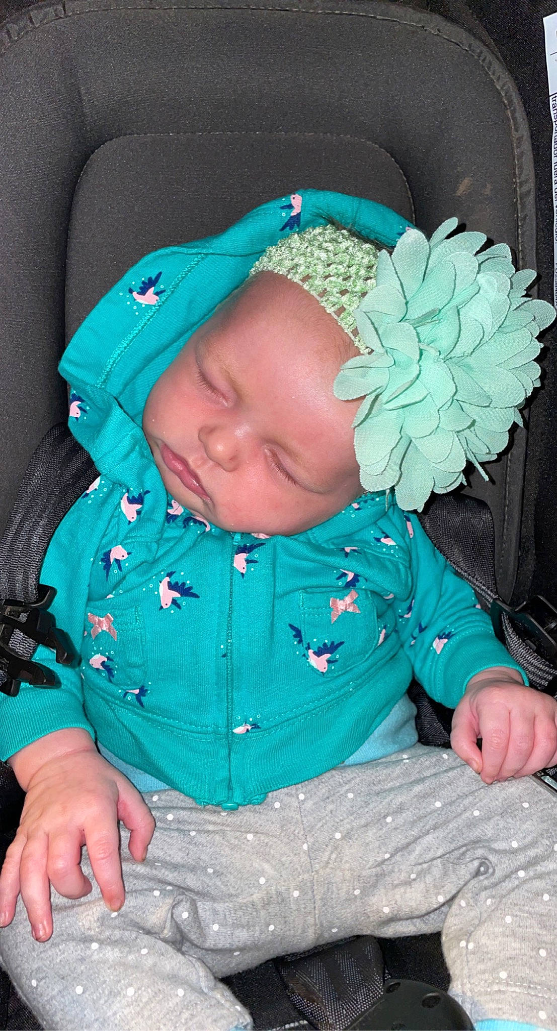 Kynlee joined the competition — help win amazing prizes! azure, baby, baby_toddler_clothing, blue, cheek, comfort, eye, face, green, hand, head, headgear, headwear, mouth, organ, outerwear, person, pink, product, skin
