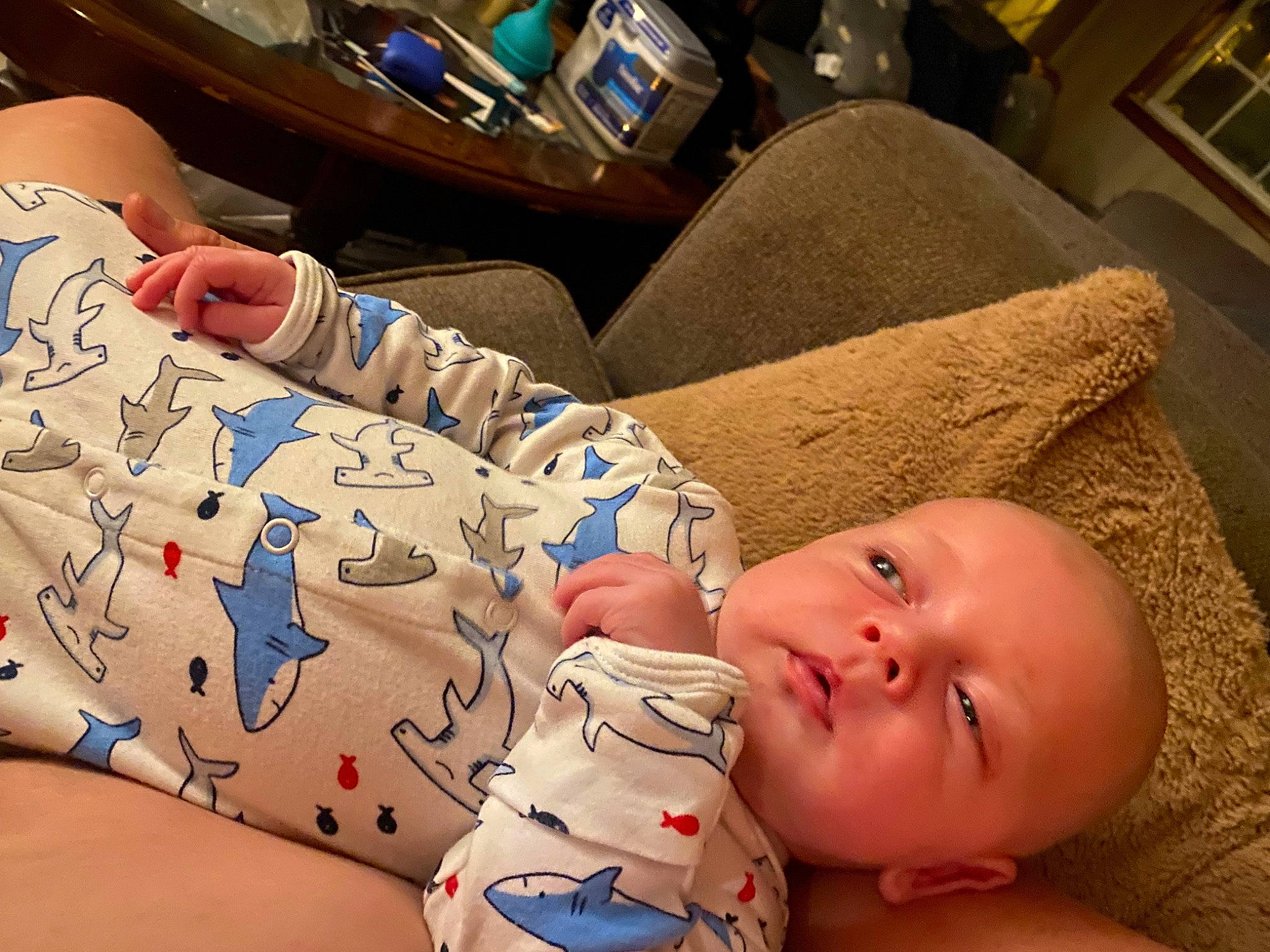 Jiraiya is registered to the contest to win money with this photo: abdomen, baby, cheek, chest, child, comfort, elbow, finger, human_body, human_leg, leg, mouth, muscle, nail, organ, person, skin, thigh, thumb, toddler