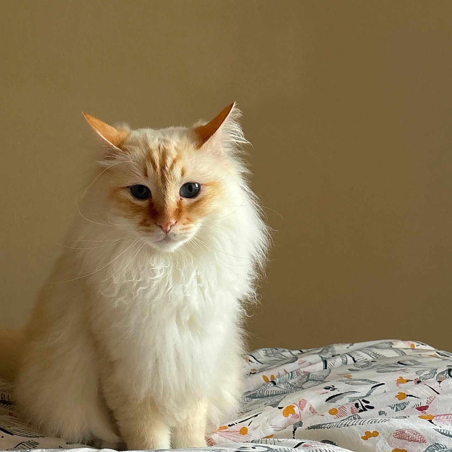 Peïo