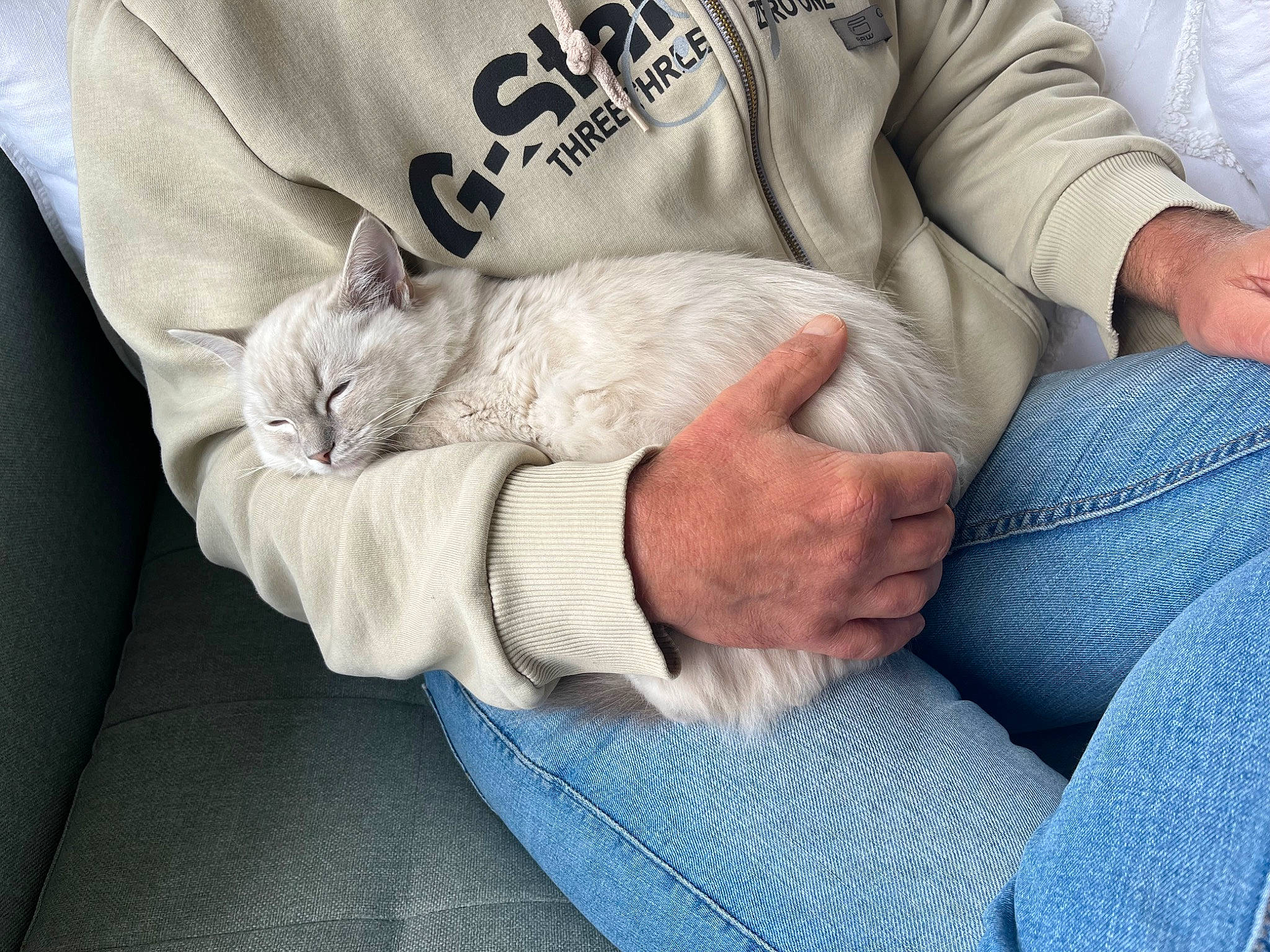 Suki is registered to the contest to win money with this photo: bedding, carnivore, cat, comfort, domestic_short_haired_cat, elbow, felidae, finger, fur, gesture, linens, nail, nap, paw, sitting, sleeve, small_to_medium_sized_cats, textile, whiskers, wrist