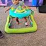 baby, walker, carpet, smile, indoor, television, person, toy, footwear, sock, clothing, screen, entertainment, child, happy, living_room, furniture, technology, background, floor
