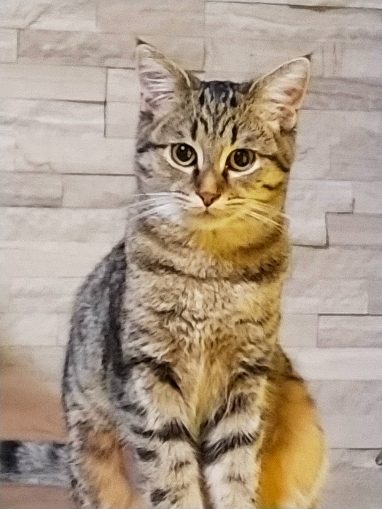 Nala