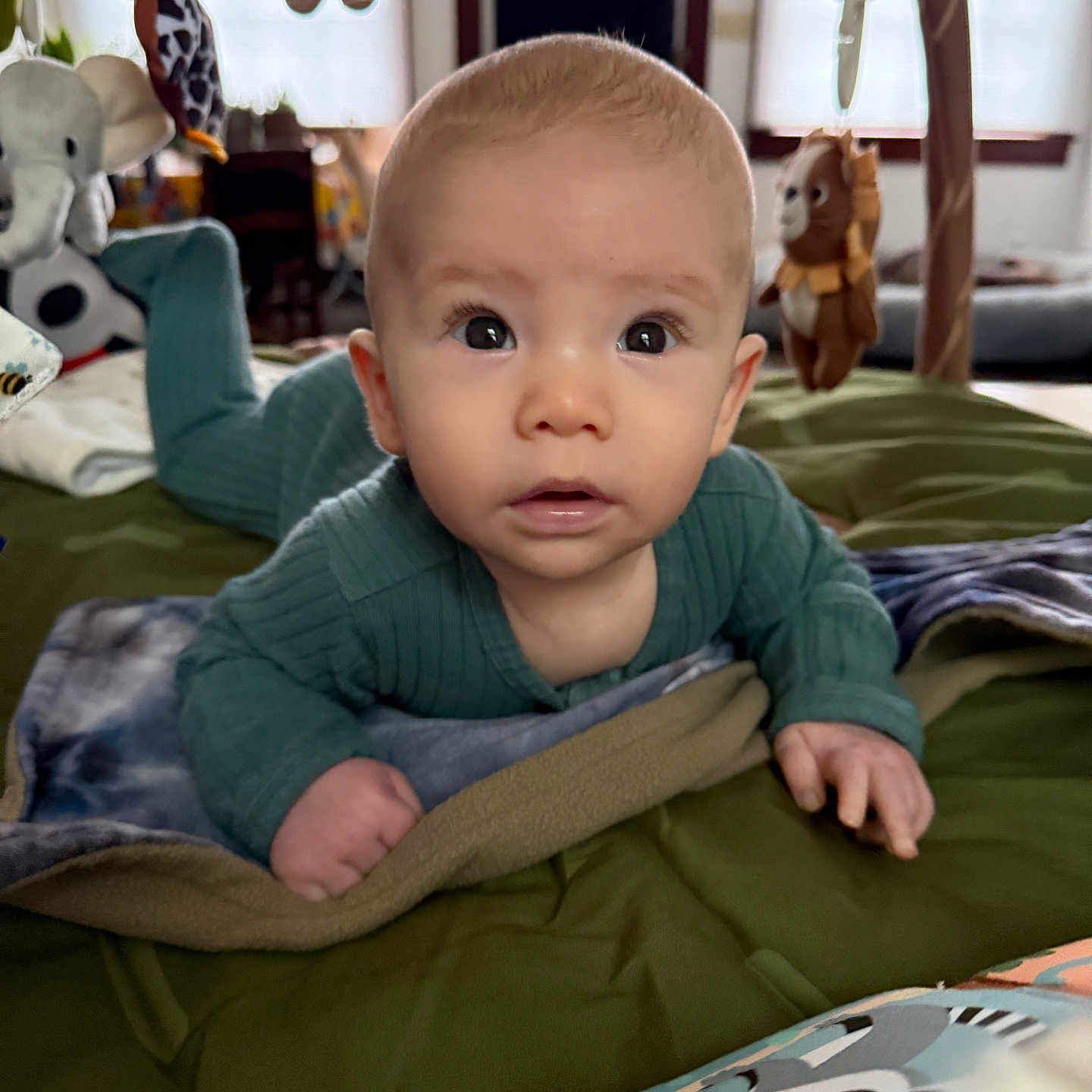 Merkie joined the competition — help win amazing prizes! animal_toys, baby, blanket, child, comfort, crawling, curious, face, furniture, green_clothing, home, indoor, infant, person, play_mat, soft_lighting, toys, tummy_time, wide_eyes, window