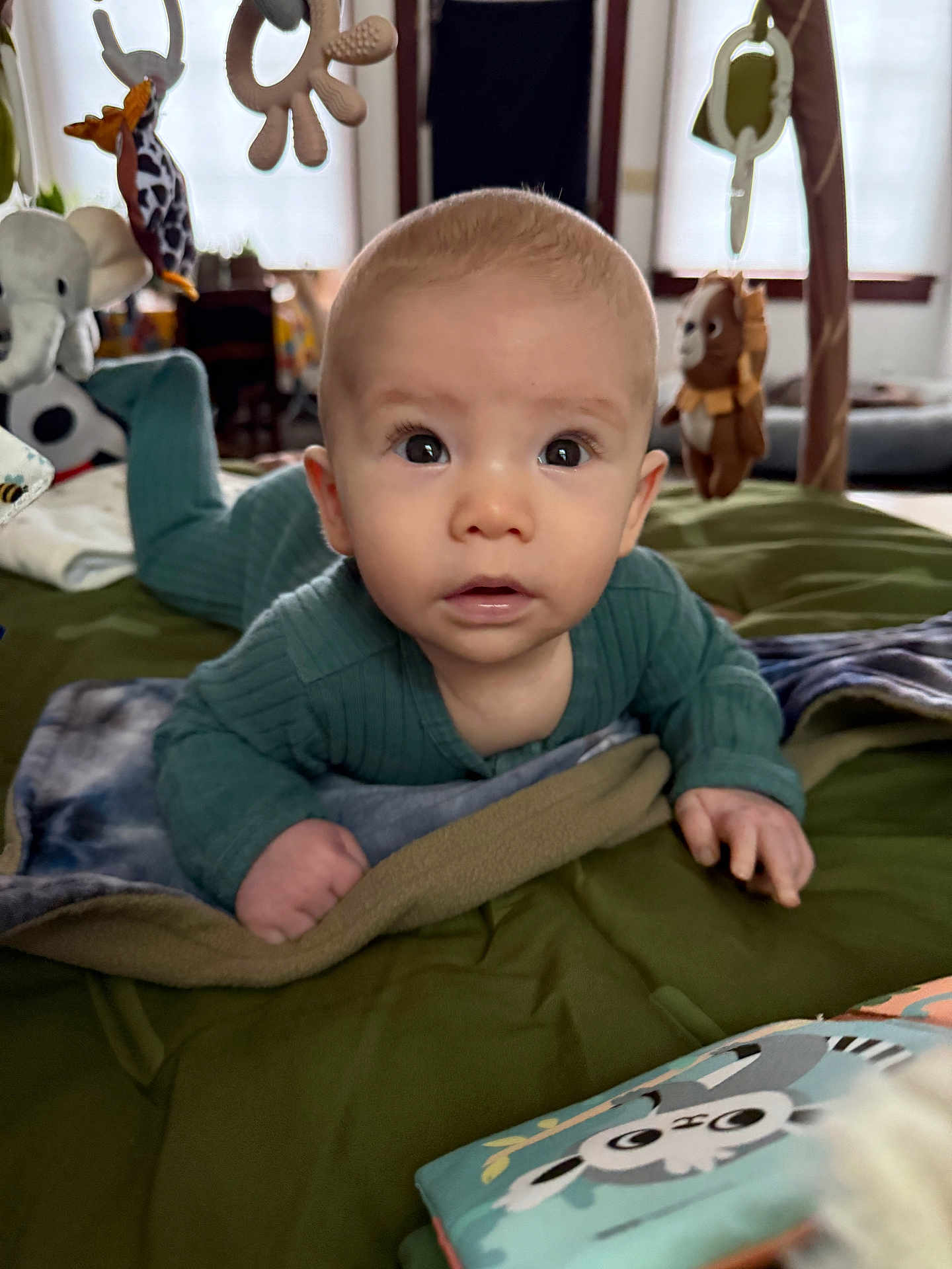 Merkie joined the competition — help win amazing prizes! animal_toys, baby, blanket, child, comfort, crawling, curious, face, furniture, green_clothing, home, indoor, infant, person, play_mat, soft_lighting, toys, tummy_time, wide_eyes, window