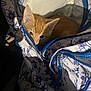 Hades is registered to the contest to win money with this photo: kitten, cat, orange_cat, backpack, zipper, floral_pattern, pet, curious, small, indoor, animal, cute, young, feline, hidden, fabric, closeup, soft_light, domestic_animal, playful