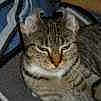LILY is registered to the contest to win money with this photo: