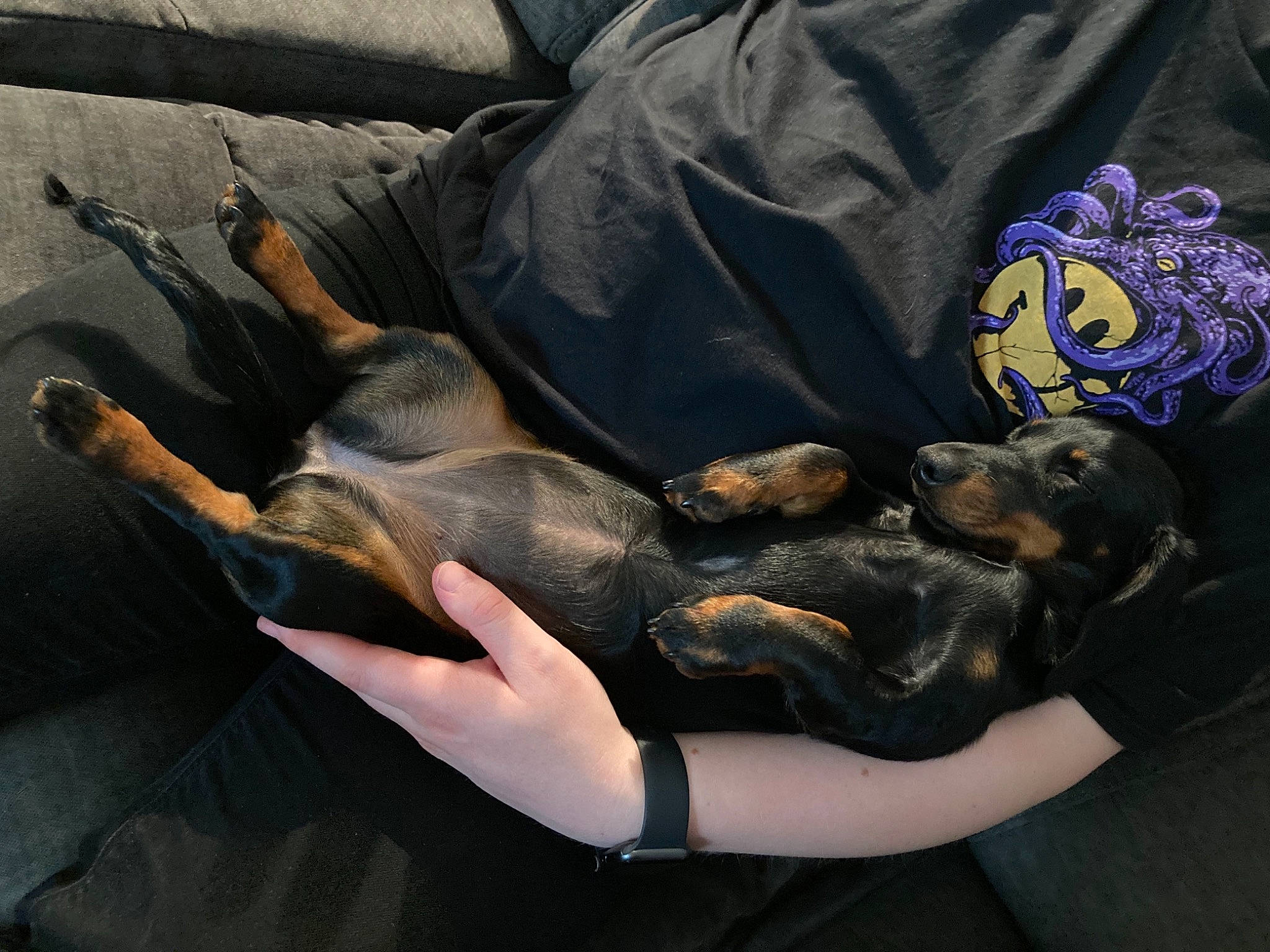 Una joined the competition — help win amazing prizes! barefoot, canidae, carnivore, claw, comfort, companion_dog, dog, dog_breed, foot, gesture, human_leg, nail, paw, sporting_group, tail, thigh, toe, vertebrate, working_animal, wrist