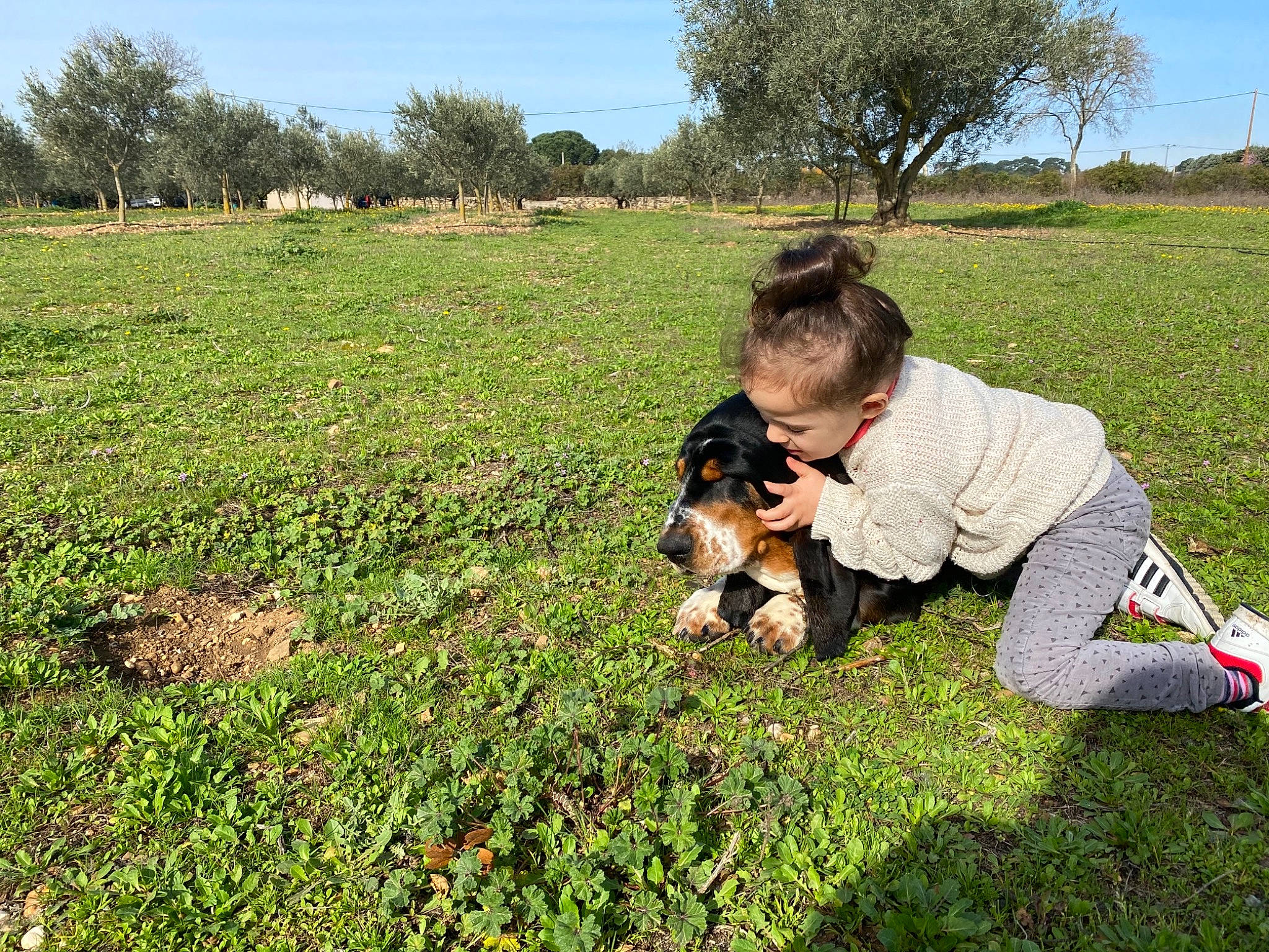 Rillette a rejoint le concours — aidez-le/la à gagner de superbes lots ! companion_dog, dog_breed, grass, grass_family, grassland, groundcover, happy, land_lot, landscape, lawn, meadow, natural_environment, natural_landscape, nature, people_in_nature, plain, plant, rural_area, sky, tree