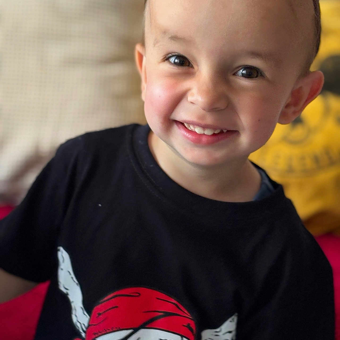 Gabin a rejoint le concours — aidez-le/la à gagner de superbes lots ! animal, baby, bodypart, boy, child, clothing, face, happy, head, invertebrate, male, mouth, person, photography, portrait, shirt, smile, spider, t_shirt, teeth