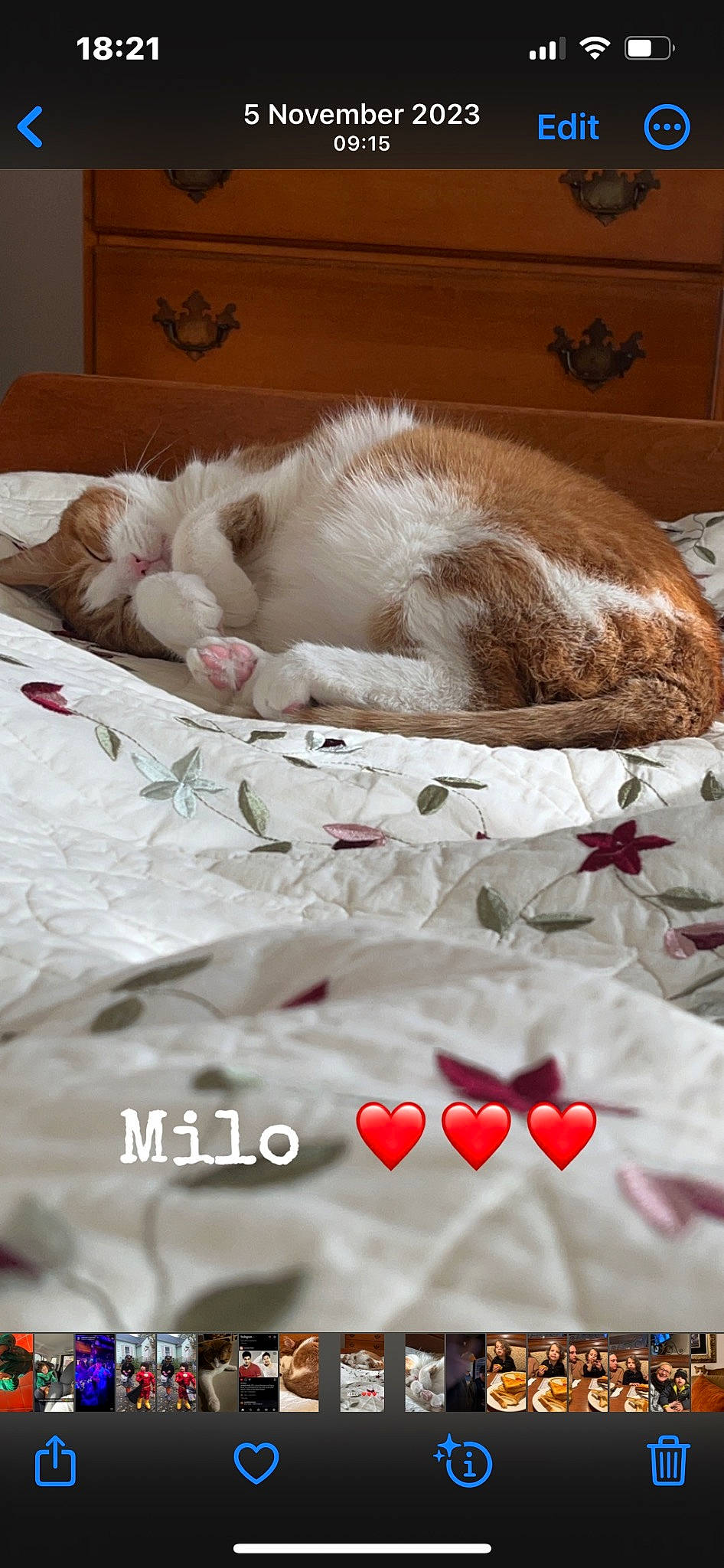 Milo is registered to the contest to win money with this photo: bed_sheet, bedding, carmine, carnivore, cat, cat_supply, comfort, domestic_short_haired_cat, felidae, flooring, fur, linens, nap, paw, petal, photo_caption, room, small_to_medium_sized_cats, tail, whiskers