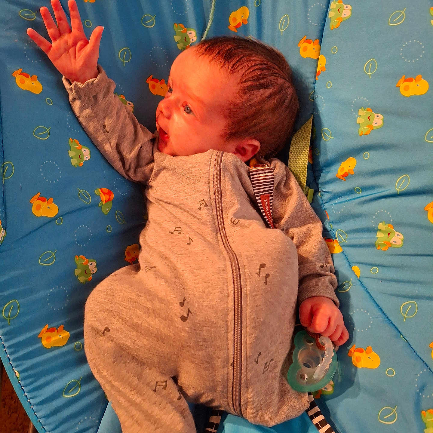 Tony joined the competition — help win amazing prizes! baby, bed, bodypart, chair, clothing, coat, couch, cushion, face, finger, furniture, hand, head, homedecor, jacket, knitwear, person, photography, portrait, sweater