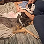person, dog, couch, blanket, sleeping, resting, indoor, furniture, home, relaxing, animal, pet, canine, collar, carpet, comfort, nap, brown, black_and_white, human