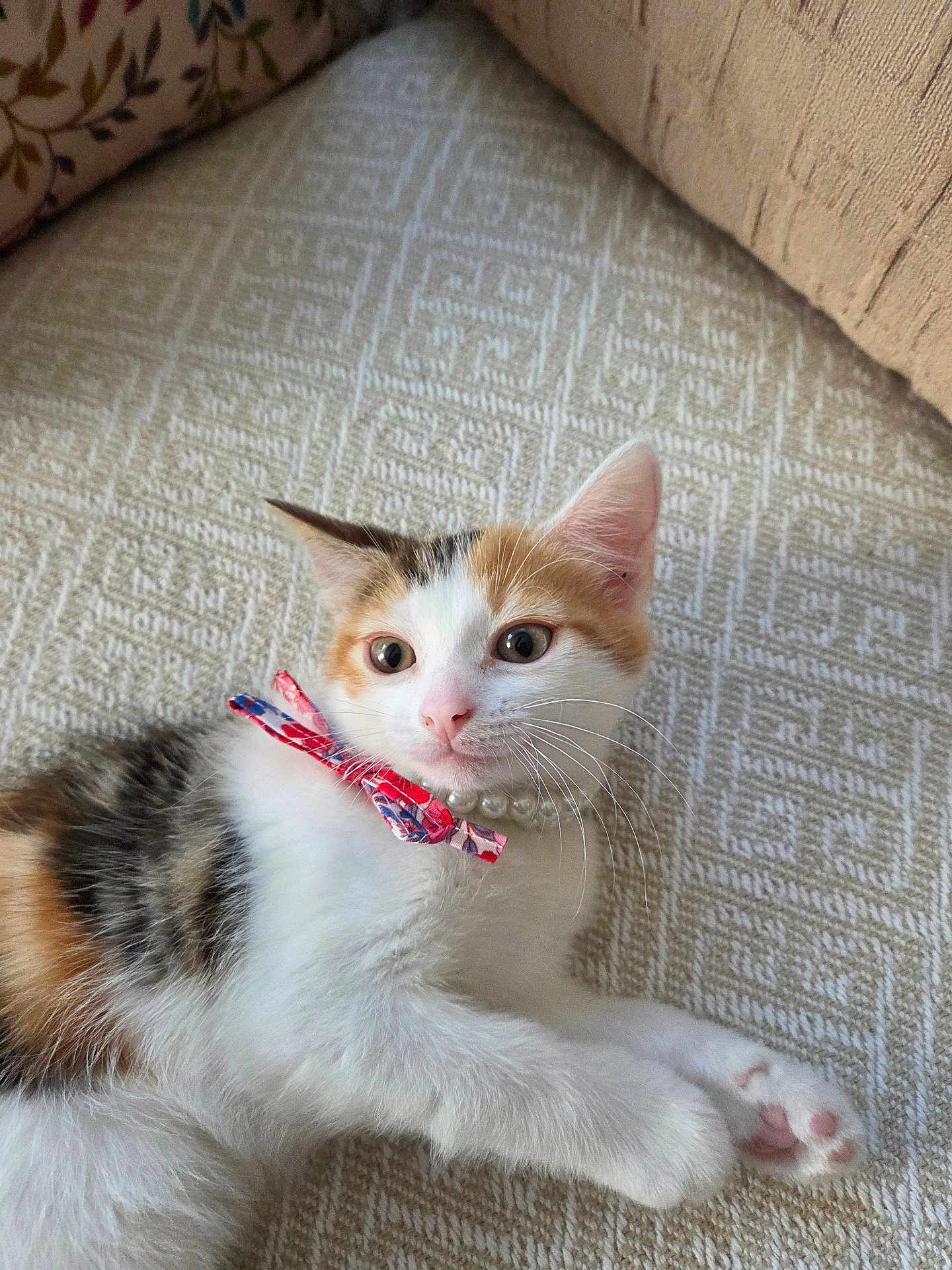 Mrs . Lola
