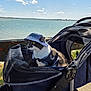 cat, hat, pet_stroller, outdoor, lake, water, blue_sky, clouds, sunny, animal, fur, whiskers, nature, daylight, leisure, travel, pets, curious, resting, scenic
