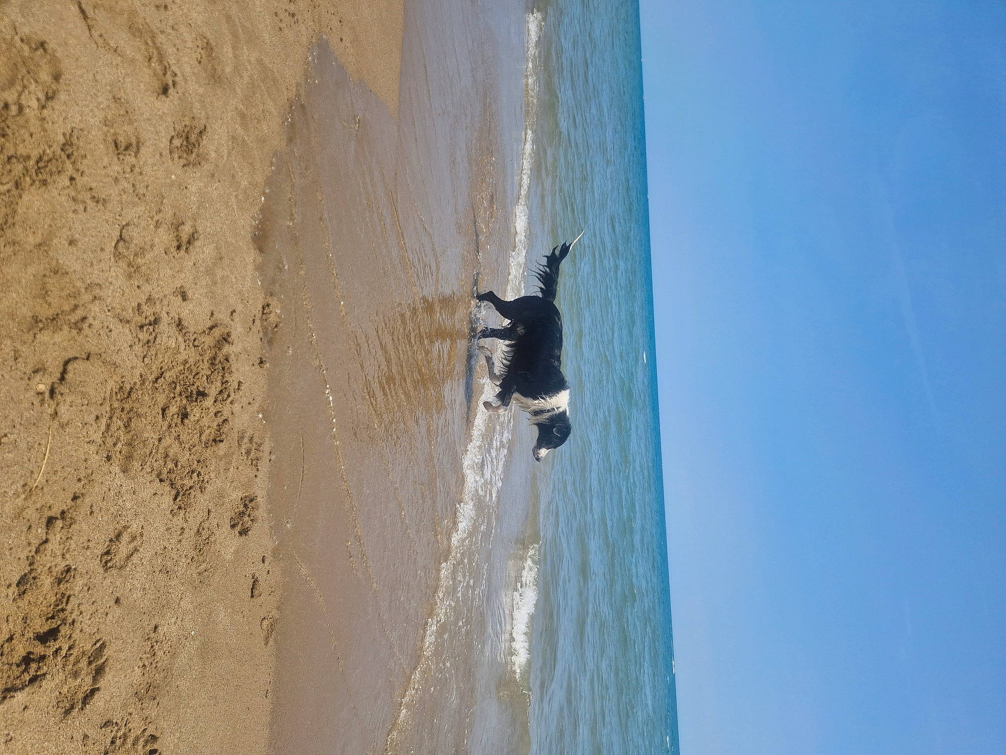 Taiko a rejoint le concours — aidez-le/la à gagner de superbes lots ! azure, beach, coast, fun, funeral, geology, landscape, ocean, recreation, rock, sand, shadow, singing_sand, sky, slope, water, watercraft, wave, wind_wave, wood