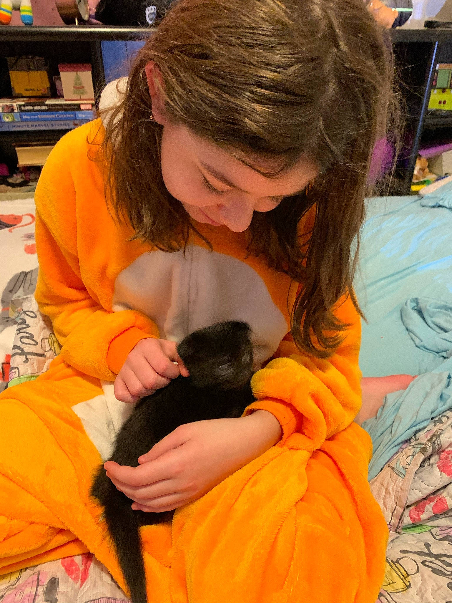 Salem joined the competition — help win amazing prizes! art, canidae, chair, child, companion_dog, dog_breed, fawn, fun, fur, lap, leisure, long_hair, orange, play, shelf, sitting, sporting_group, television, toy, visual_arts