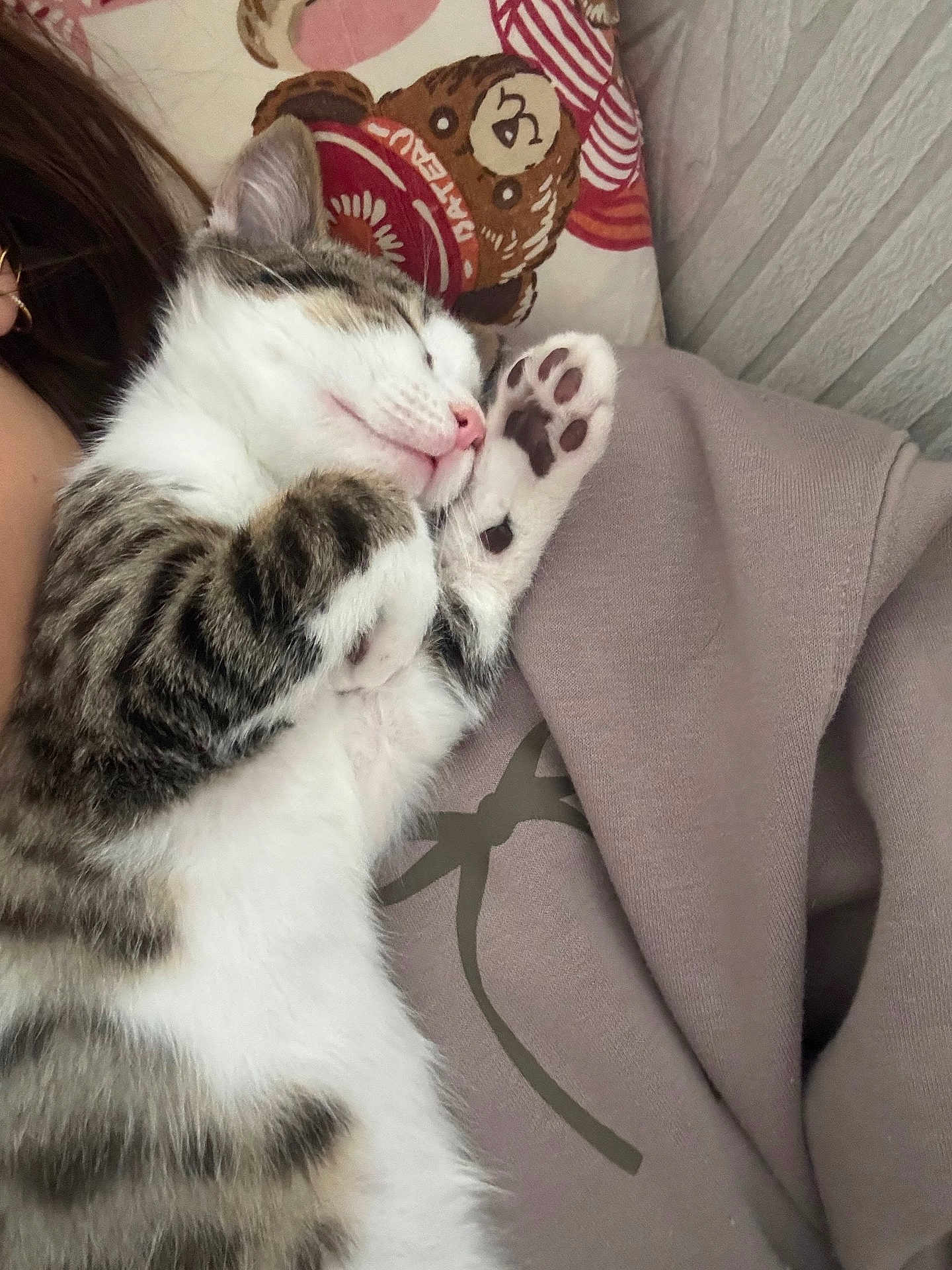 Stich participe au concours pour gagner de l'argent avec cette photo : kitten, sleeping, paw, close_up, cute, tabby, white_fur, indoor, pillow, pattern, soft_texture, relaxing, nap, pet, animal, cozy, resting, fur, pink_nose, whiskers