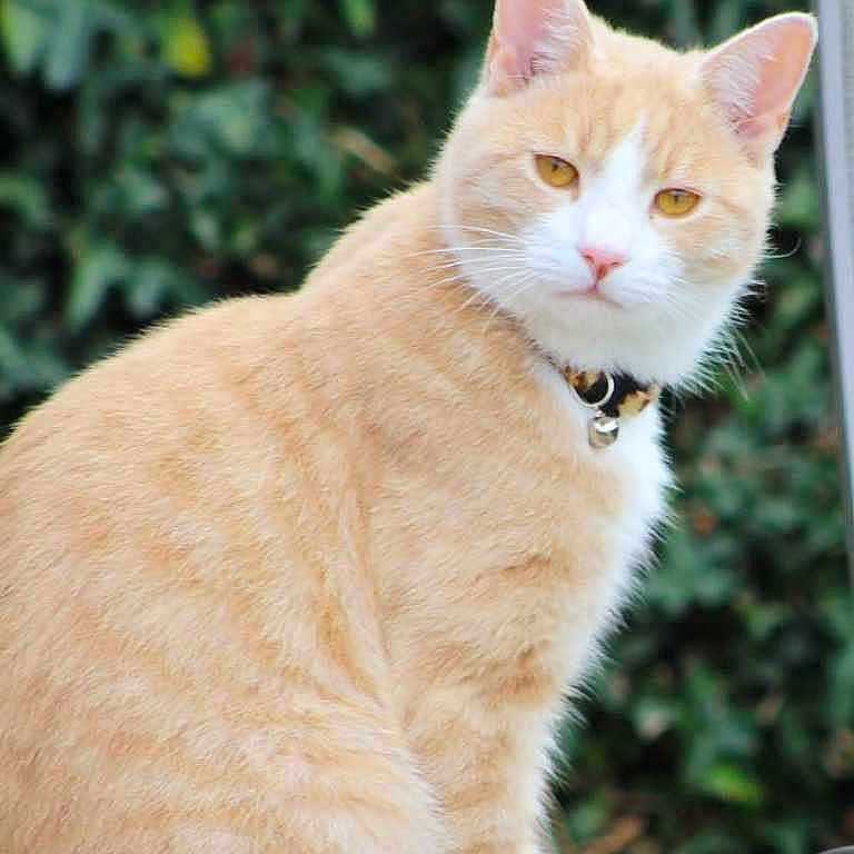 Ben