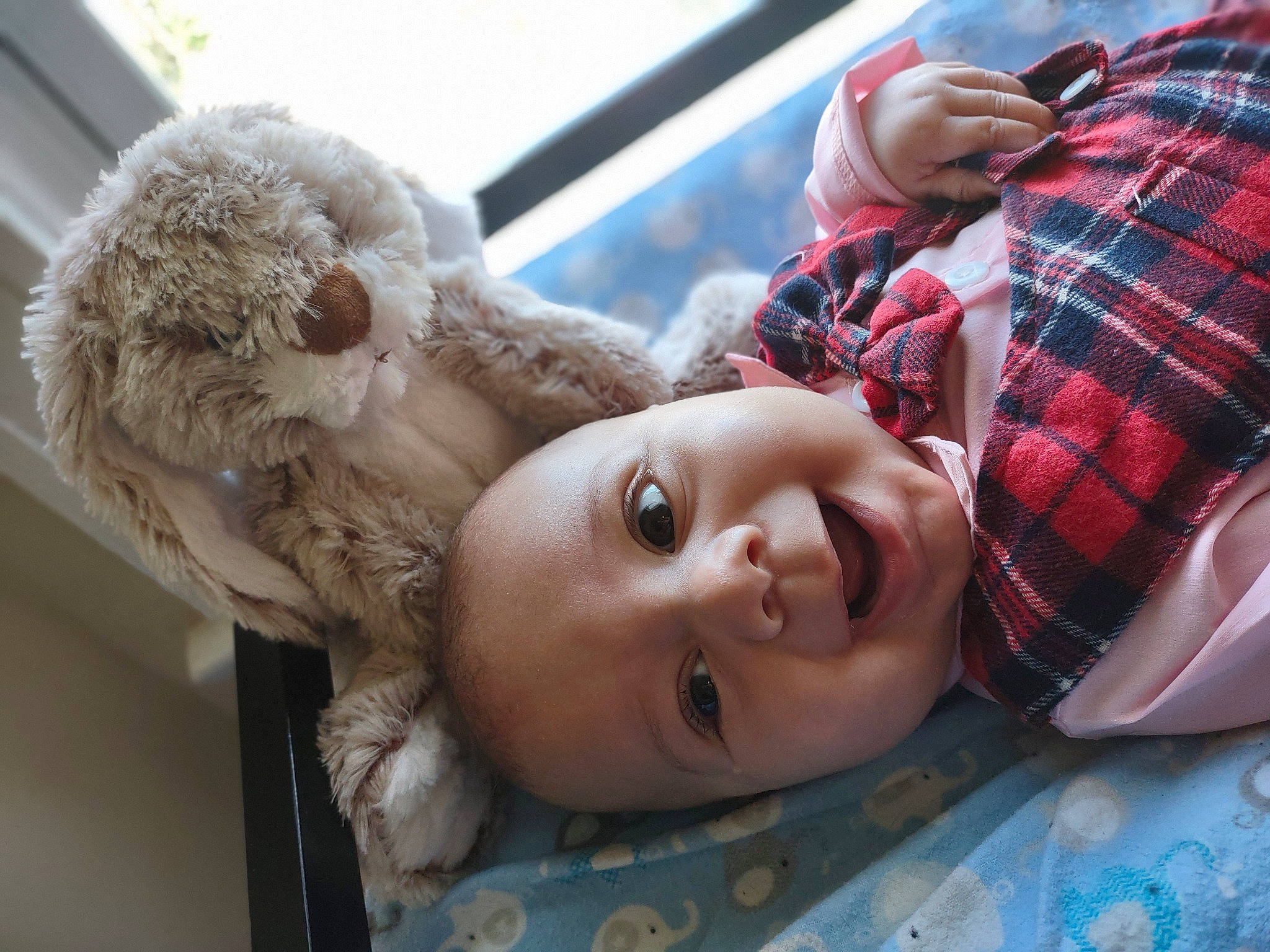 Marcus is registered to the contest to win money with this photo: child, fun, fur, gesture, hand, happy, leisure, pattern, person, plaid, portrait_photography, skin, smile, stuffed_toy, tartan, teddy_bear, textile, toddler, toy, tree
