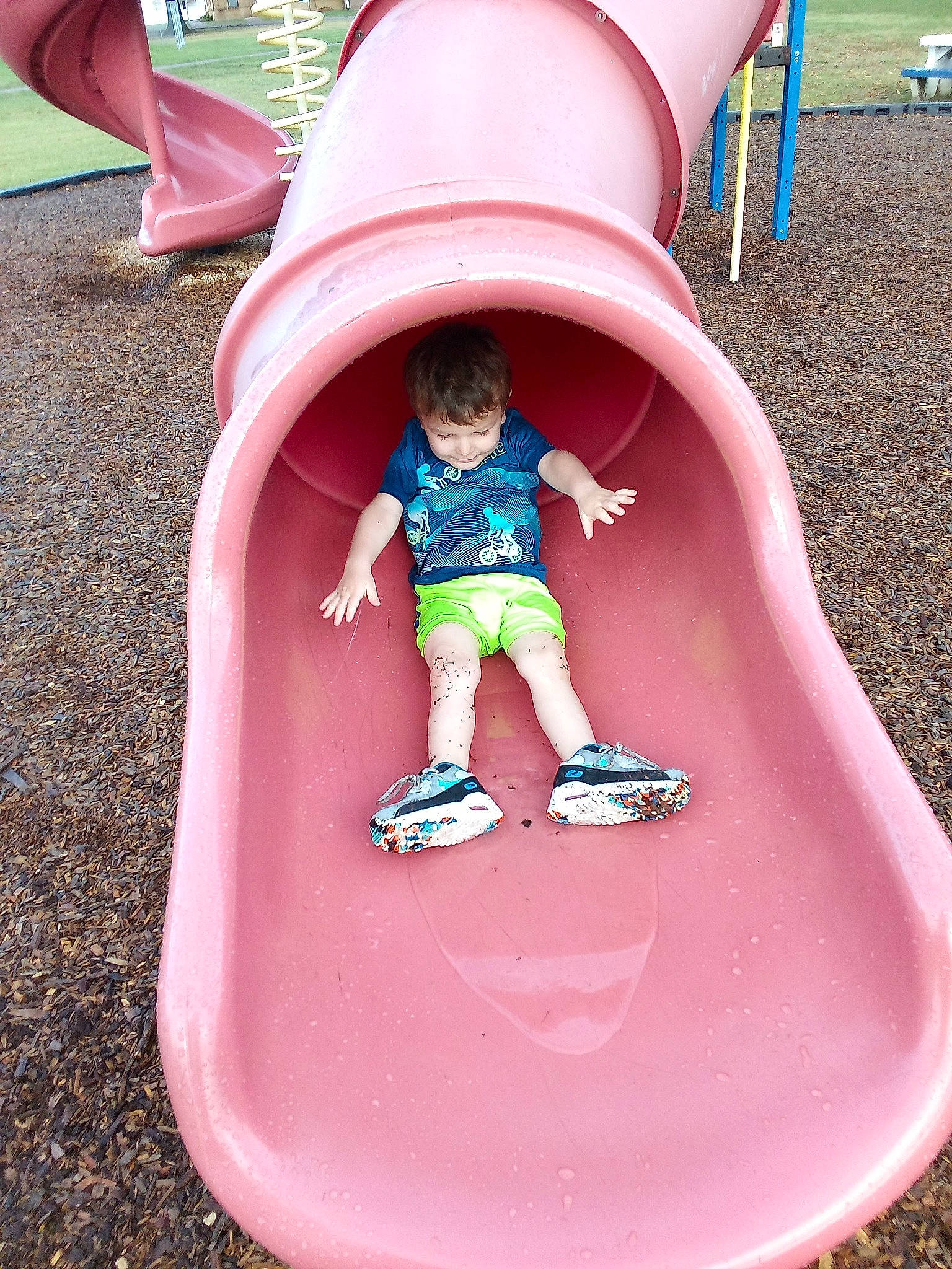 Harvey joined the competition — help win amazing prizes! child, chute, fun, grass, green, leisure, magenta, outdoor_play_equipment, person, photograph, pink, playground, product, public_space, purple, recreation, red, summer, toddler, white