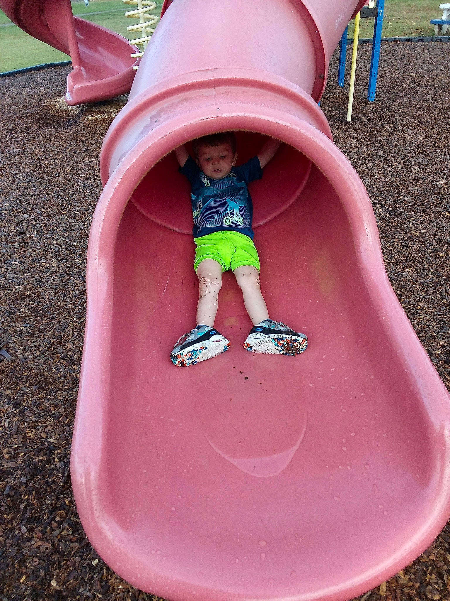 Harvey joined the competition — help win amazing prizes! baby_toddler_clothing, child, chute, city, fun, grass, green, leisure, magenta, outdoor_play_equipment, person, photograph, pink, play, playground, playground_slide, recreation, red, toddler, white
