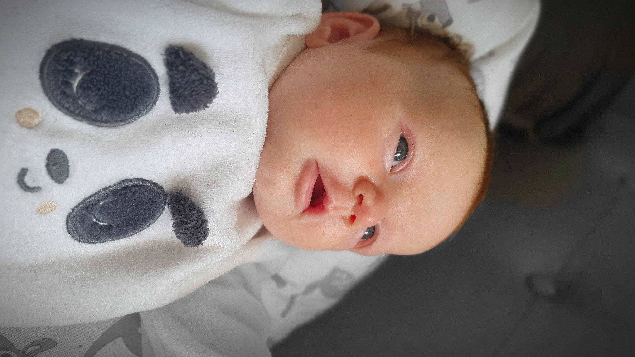 Héloïse participe au concours pour gagner de l'argent avec cette photo : baby, baby_toddler_clothing, cheek, child, chin, close_up, comfort, eyelash, face, flash_photography, happy, headgear, linens, lip, nose, outerwear, person, skin, sleeve, smile