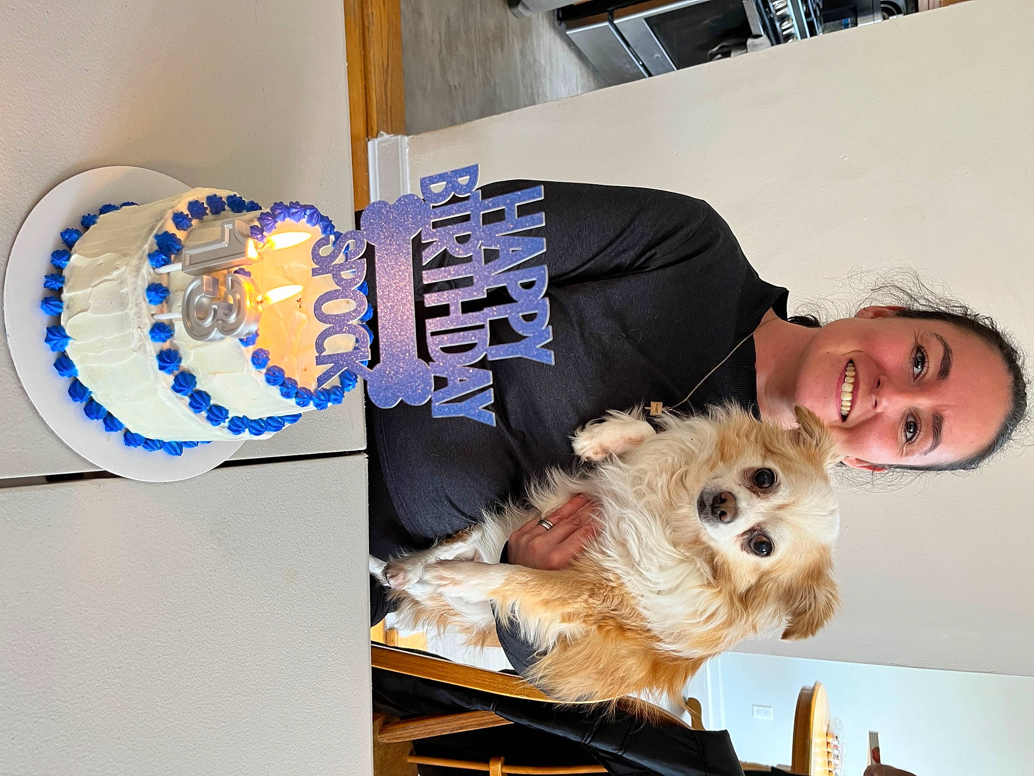 Spock is registered to the contest to win money with this photo: canidae, carnivore, companion_dog, dog, dog_breed, dog_supply, fur, happy, room, sitting, small_terrier, smile, sporting_group, toy_dog