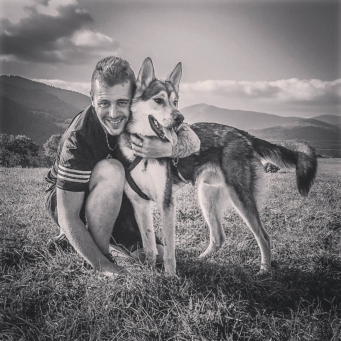 Oxmo a rejoint le concours — aidez-le/la à gagner de superbes lots ! black_and_white, czechoslovakian_wolfdog, dog, dog_breed, dog_like_mammal, joy, monochrome, monochrome_photography, northern_inuit_dog, person, photography, saarloos_wolfdog, seppala_siberian_sleddog, siberian_husky, sky, snout, stock_photography, wildlife, wolf, wolfdog