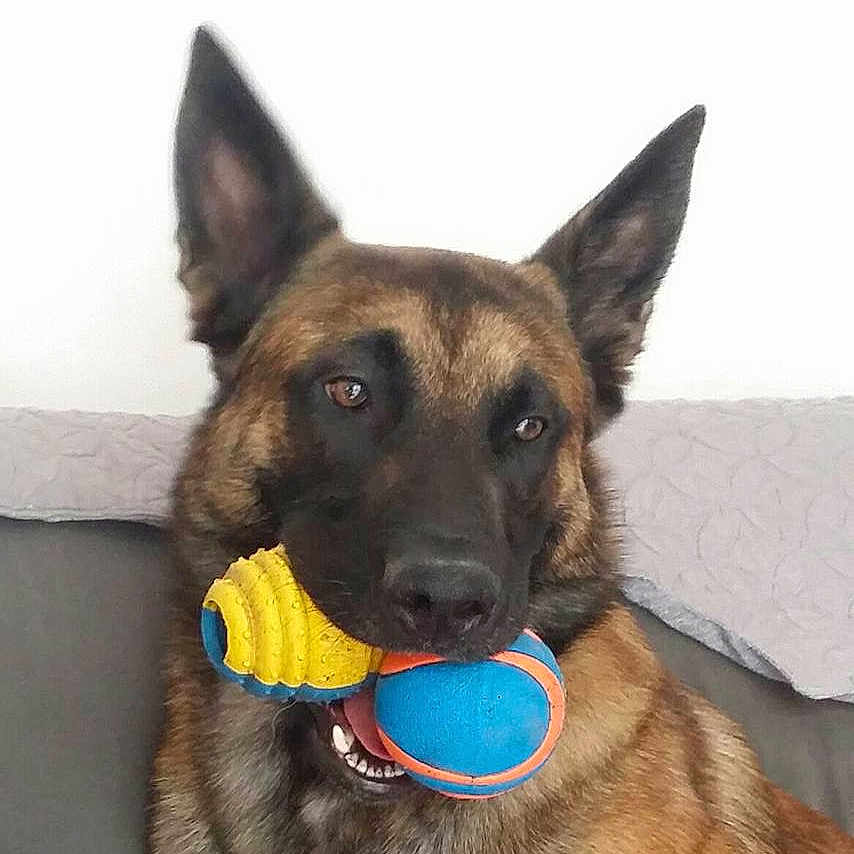 Looping De La Ci Des Foucault