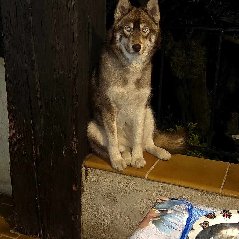 Alaska