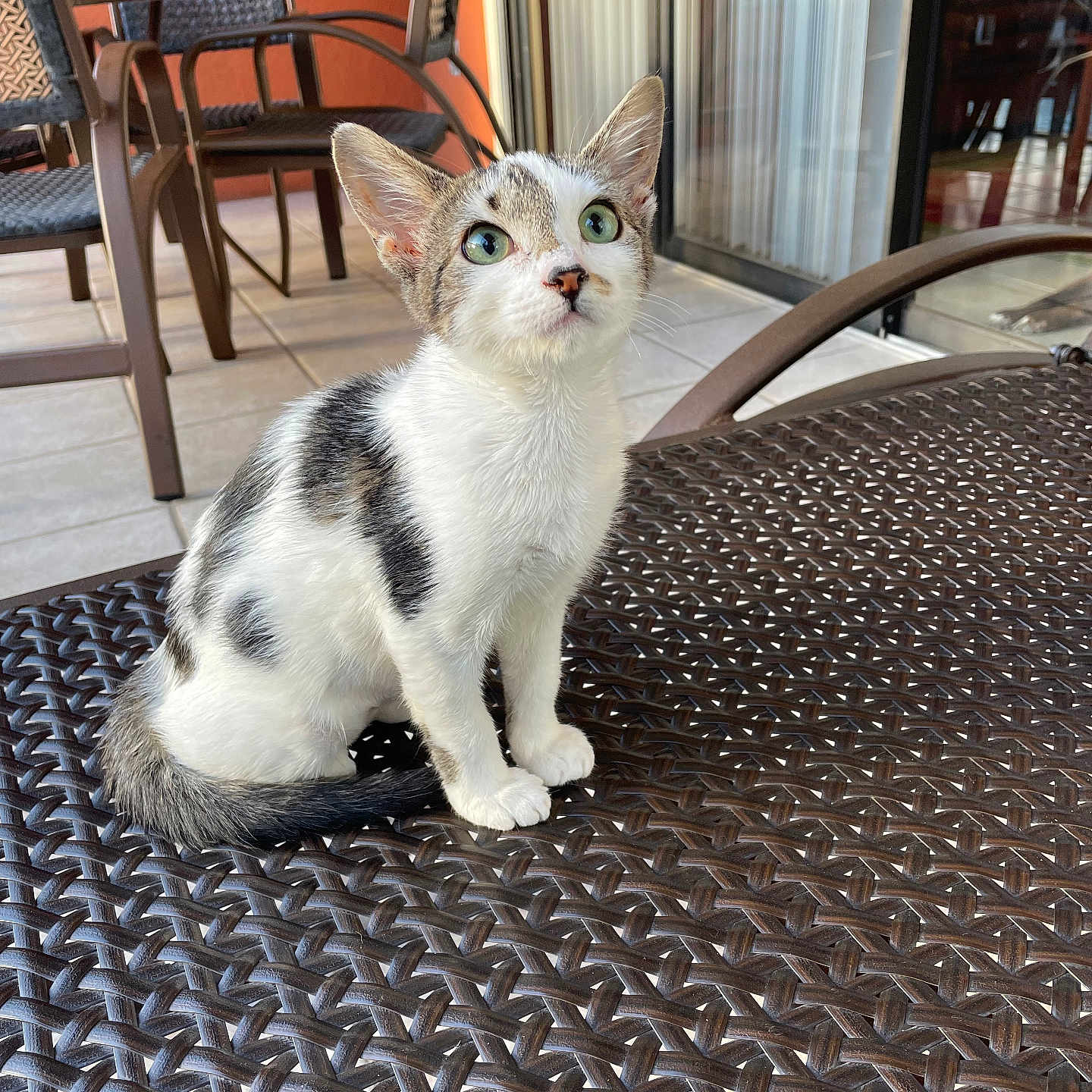 Solana