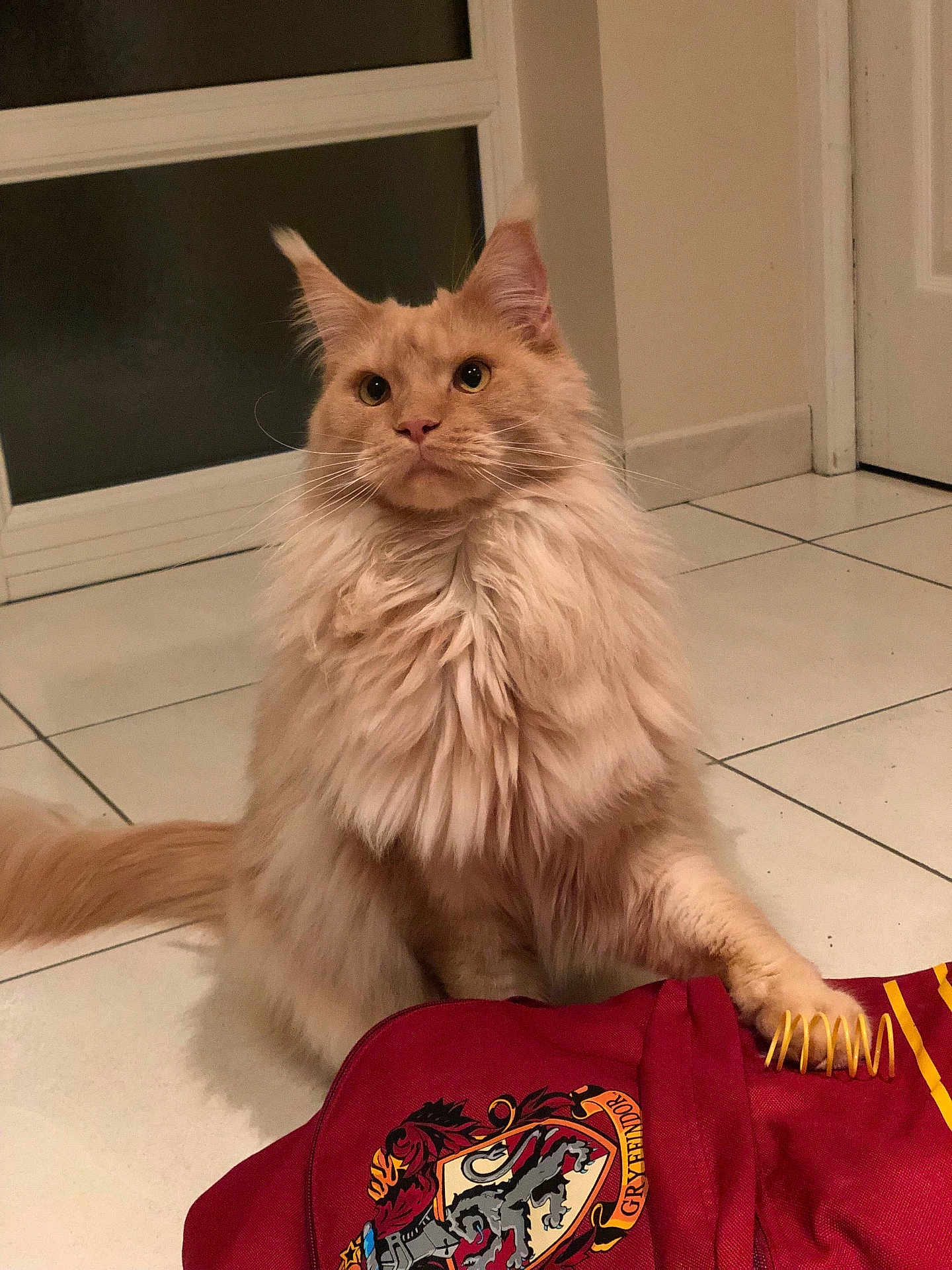 Ollivander