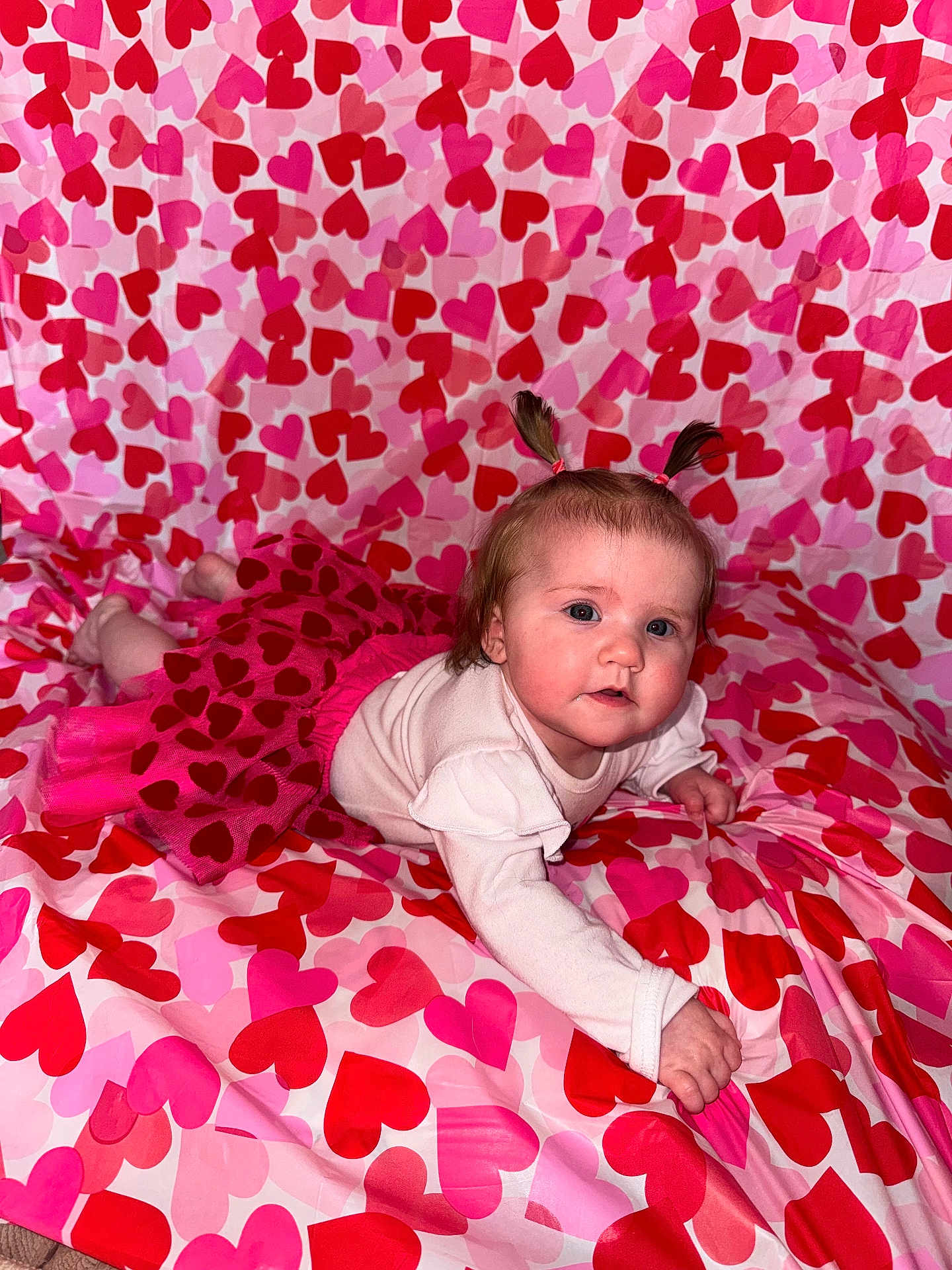 Arizona joined the competition — help win amazing prizes! baby, infant, child, pink, hearts, valentine, pigtails, tutu, skirt, blanket, pattern, portrait, lying_down, crawling, cute, cheeks, blue_eyes, fabric, indoor, playful