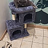 cat, cat_tree, gray_cat, indoor, tile_floor, wall_art, pet, feline, corner, home, cozy, animal, resting, scratching_post, furniture, grooming, pet_accessory, domestic, quiet, clean