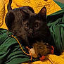 black_cat, cat, pet, animal, toy_mouse, yellow_quilt, green_blanket, feline, whiskers, indoor, cozy, fur, playful, alert, cute, domestic_cat, bed, resting, claws, ears