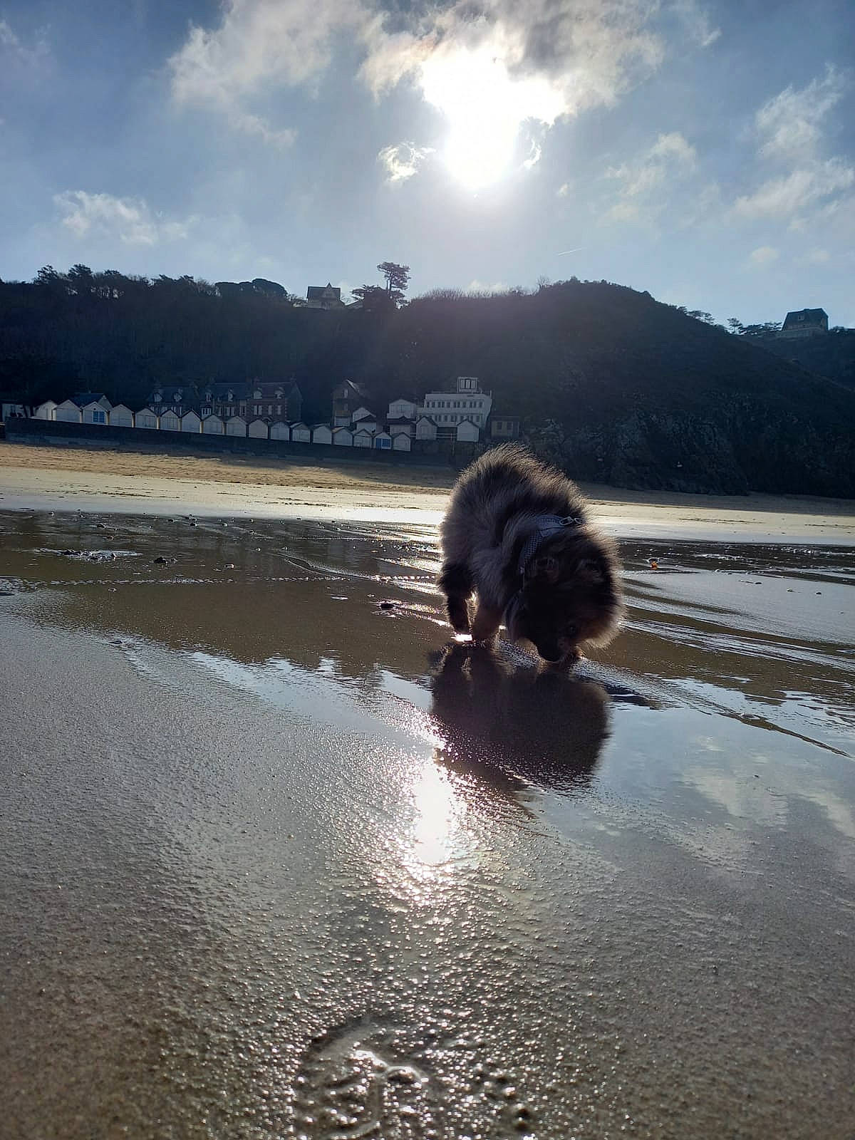 Kumi a rejoint le concours — aidez-le/la à gagner de superbes lots ! asphalt, bank, beach, calm, cloud, cumulus, horizon, lake, landscape, morning, mountain, sky, sunlight, tree, water, water_resources, watercourse, waterway, wind_wave, winter
