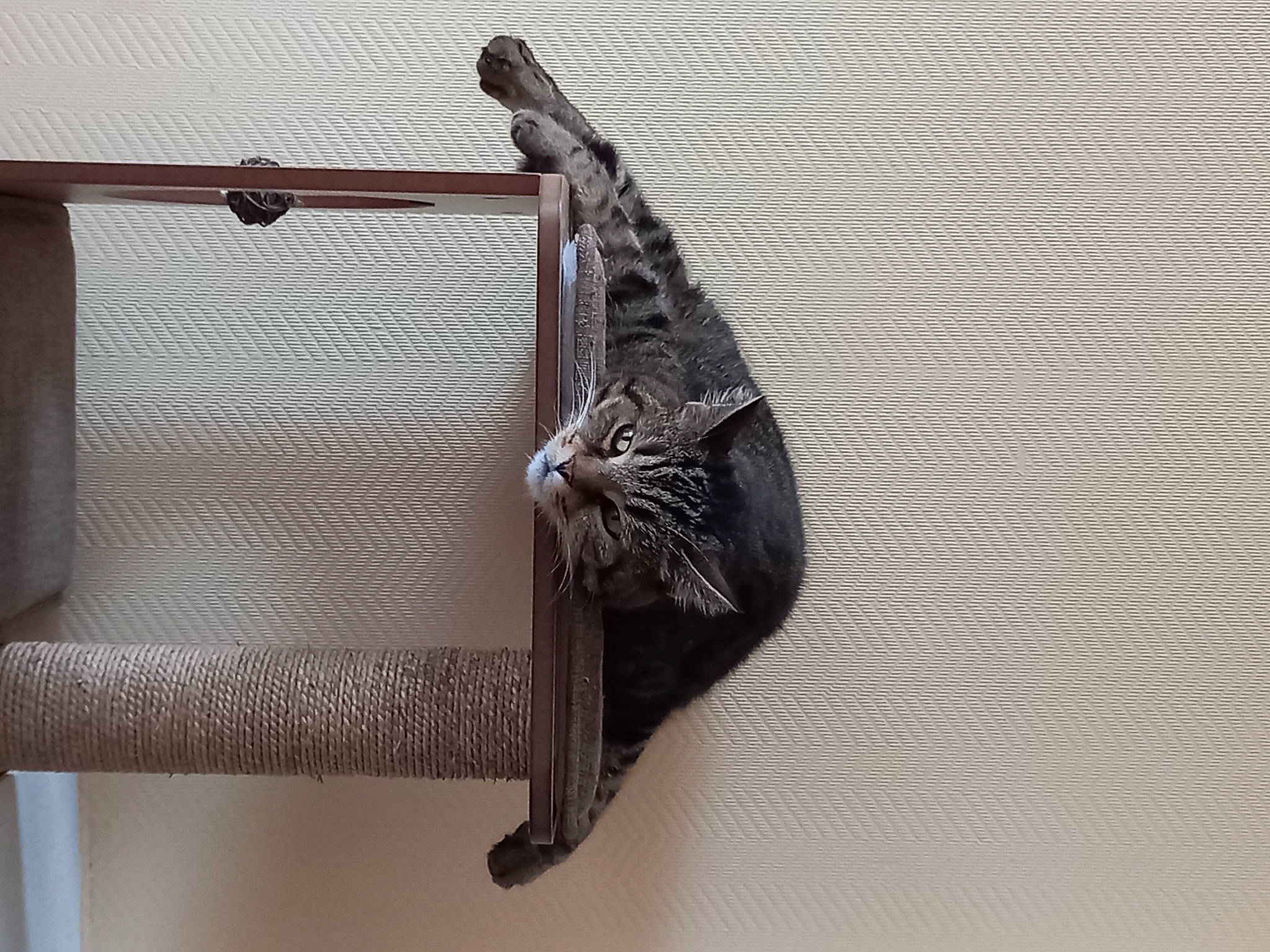 Minnie a rejoint le concours — aidez-le/la à gagner de superbes lots ! bag, door, fashion_accessory, feather, grey, hardwood, jewellery, leather, metal, musical_instrument, pattern, rectangle, rope, sconce, thread, twig, visual_arts, window, wood, woven_fabric