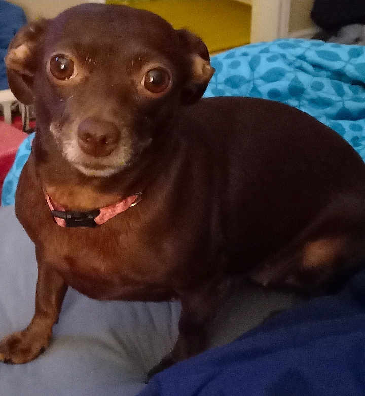Mimi