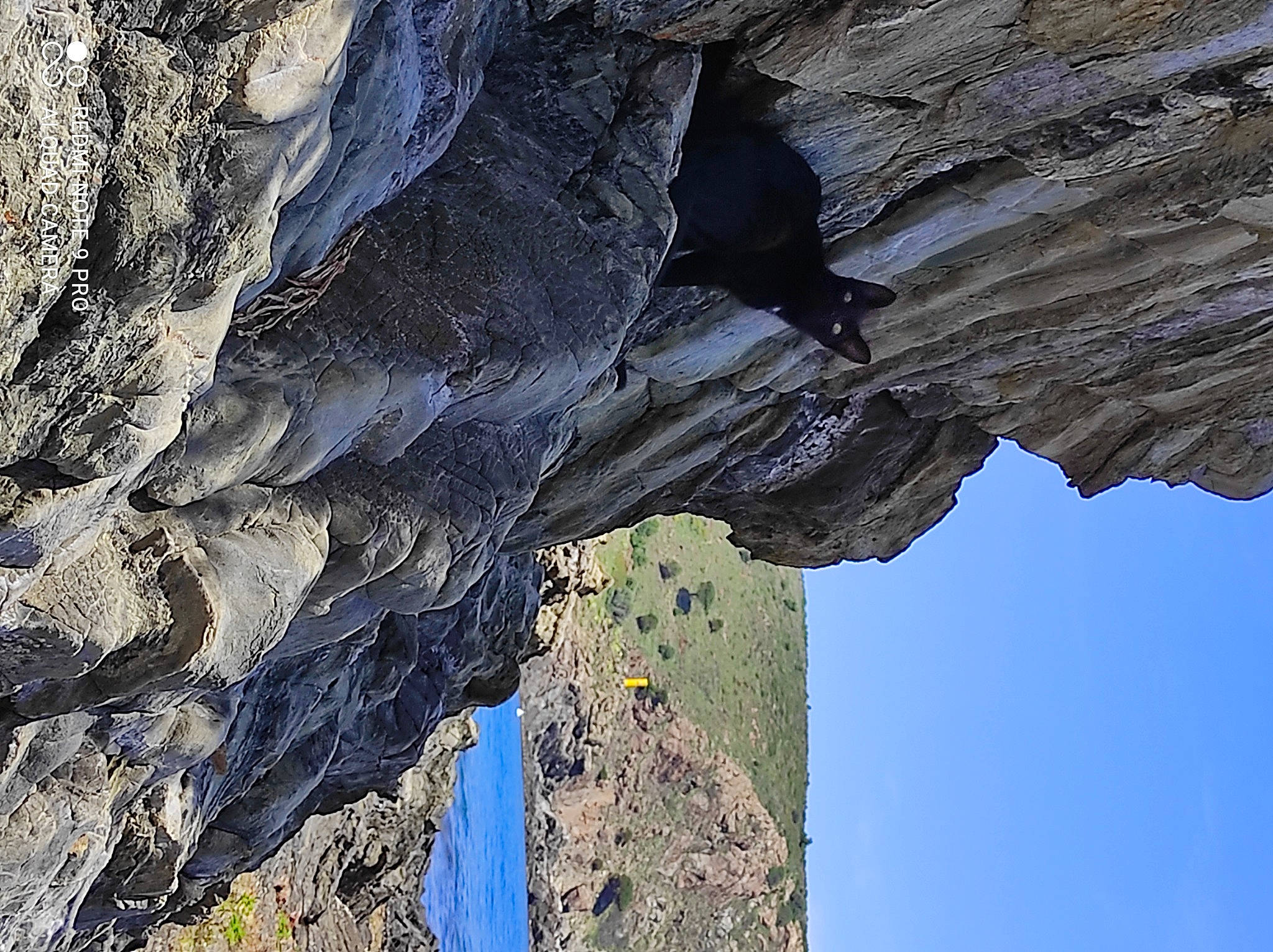 Fripouille participe au concours pour gagner de l'argent avec cette photo : adventure, batholith, bedrock, cliff, erosion, escarpment, fault, formation, geological_phenomenon, intrusion, klippe, landscape, mountain, outcrop, rock, sky, terrain, tree, trunk, wood