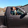 Rebel is registered to the contest to win money with this photo: dog, pickup_truck, vehicle, window, outdoor, daylight, animal, tongue_out, black_truck, nature, trees, sky, happy, pet, transportation, side_view, parked, metal_toolbox, rural, sunny
