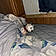 Casper