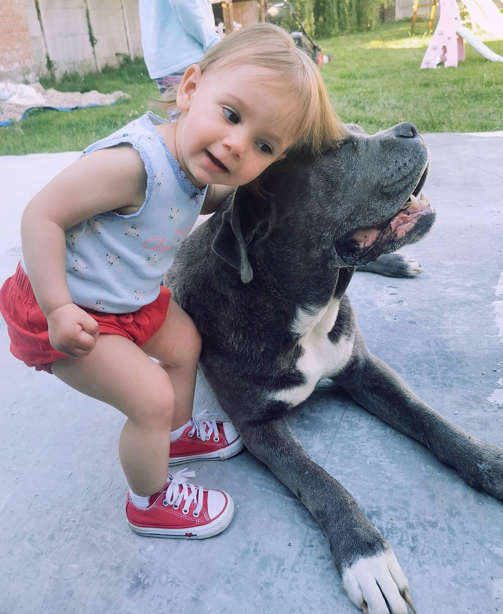 Louise participe au concours pour gagner de l'argent avec cette photo : carnivore, child, companion_dog, dog, dog_breed, fawn, grass, happy, leg, leisure, mammal, person, plant, recreation, shoe, smile, sneakers, snout, thigh, toddler