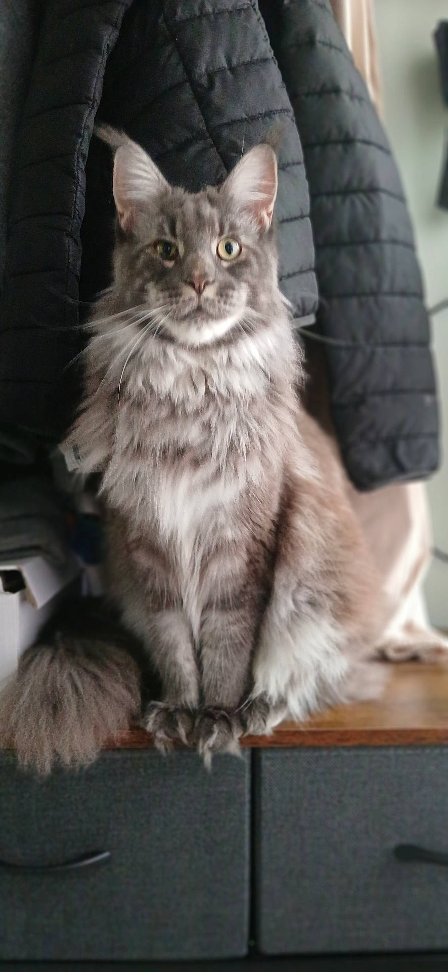Zéphyr