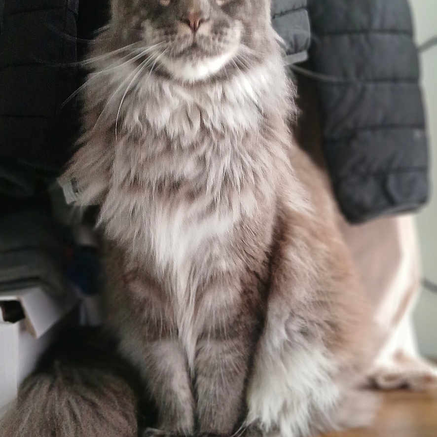 Zéphyr
