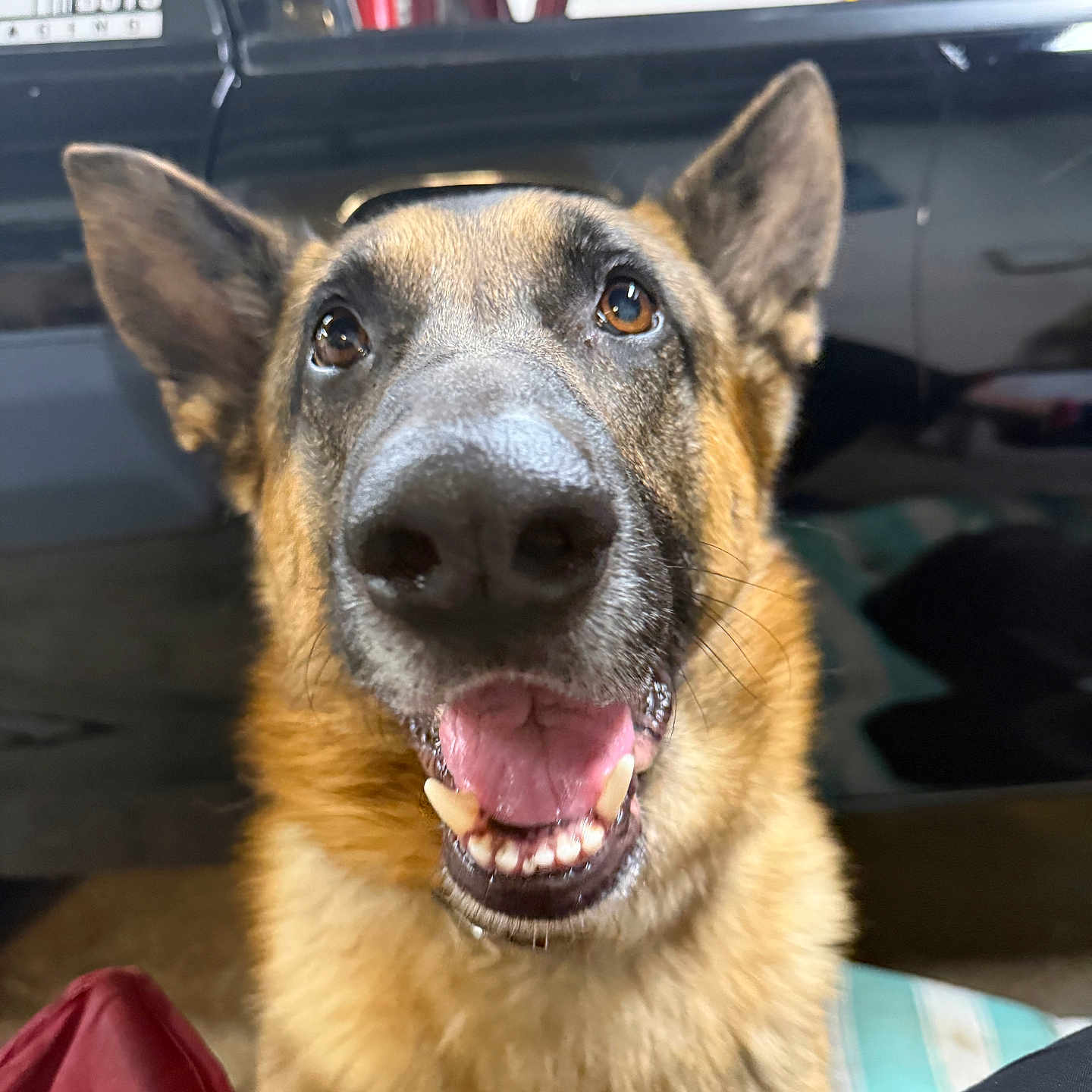 Maverick