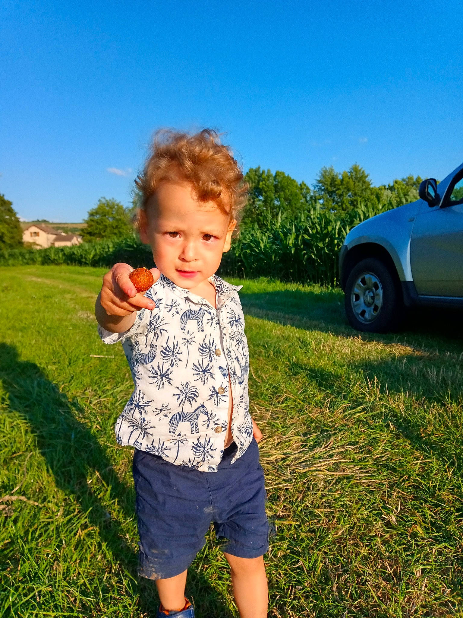 Lissandro participe au concours pour gagner de l'argent avec cette photo : automotive_lighting, automotive_tire, car, fender, grass, grassland, happy, leaf, meadow, motor_vehicle, people_in_nature, person, plant, sky, summer, sunlight, tints_and_shades, tire, tree, vehicle_door