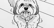Thanos a rejoint le concours — aidez-le/la à gagner de superbes lots ! adorable, animal, artwork, black_and_white, cartoon, comic_style, cute, dog, drawing, fluffy_dog, fur, happy, illustration, motion_lines, pet, playful, sitting, sketch, tongue_out, wooden_floor